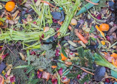 How Food Waste Recovery Fills Pockets Instead of Landfills