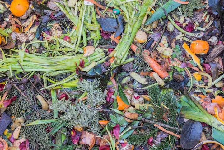 eco-circuito-food-waste