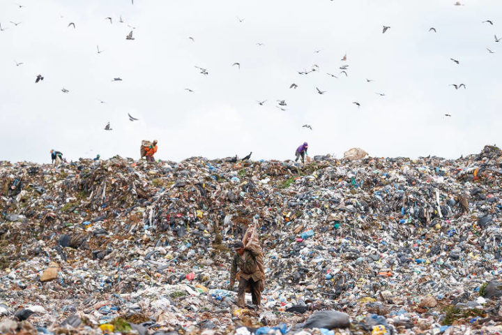 Featured image of post Imagem De Lixão - O lixão de arame de em hd e milhões de outras fotos, ilustrações e imagens vetoriais livres de direitos na coleção da shutterstock.